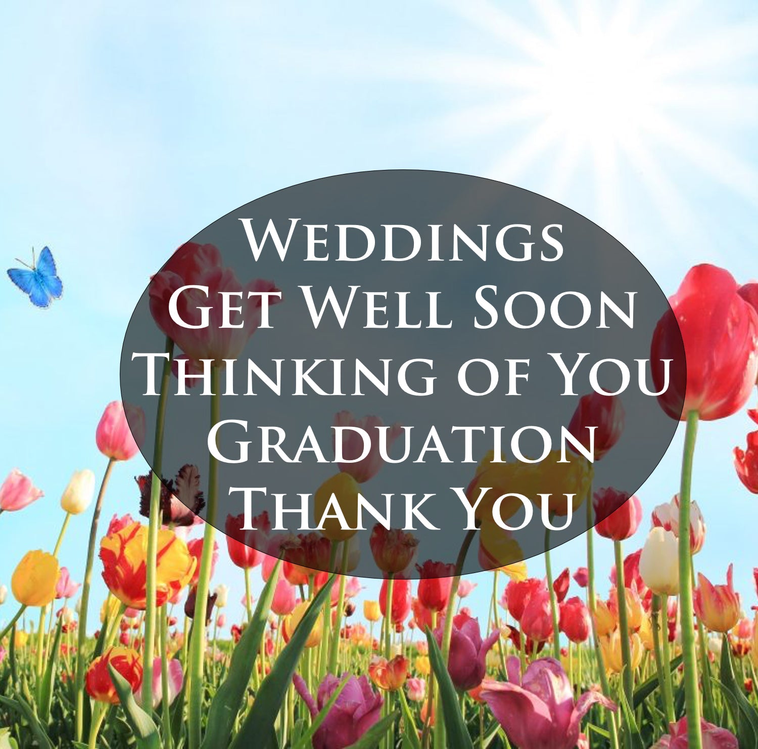 1 Time Cards (no subscriptions)